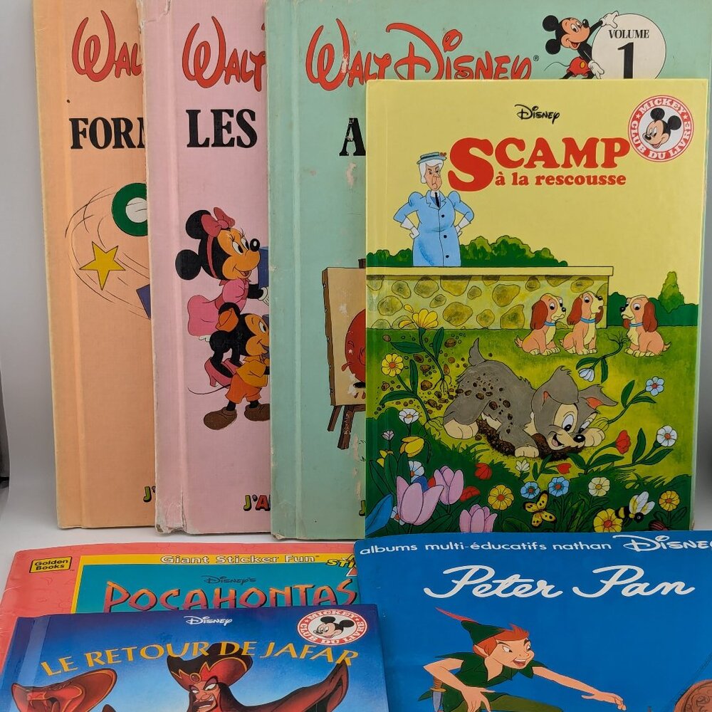 Rare Vintage French Disney Storybook Set – Collector’s Bundle